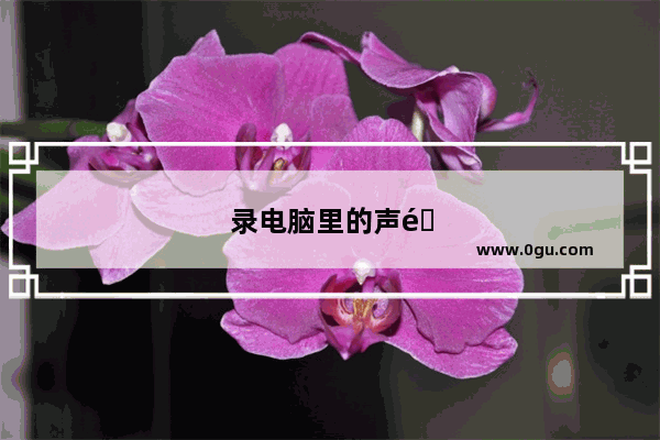 录电脑里的声音 转文字