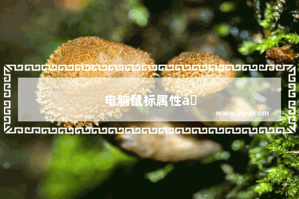 电脑鼠标属性在哪