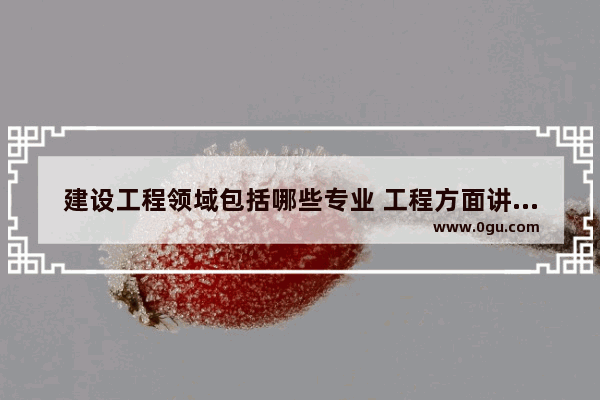建设工程领域包括哪些专业 工程方面讲中国历史