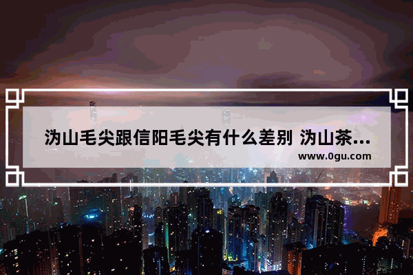 沩山毛尖跟信阳毛尖有什么差别 沩山茶历史文化优势
