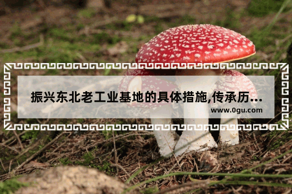 振兴东北老工业基地的具体措施,传承历史文化振兴辽宁