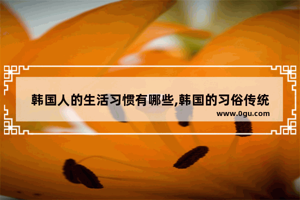 韩国人的生活习惯有哪些,韩国的习俗传统