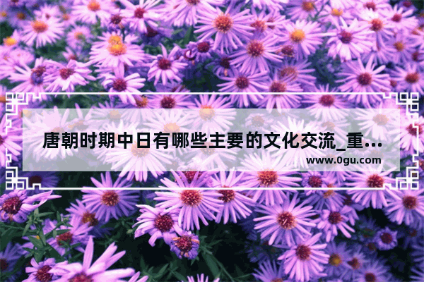 唐朝时期中日有哪些主要的文化交流_重生大唐十大经典小说