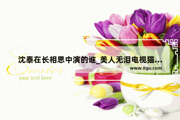 沈泰在长相思中演的谁_美人无泪电视猫人物角色