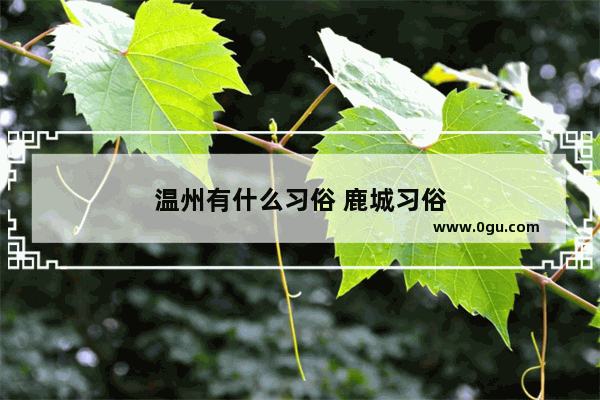 温州有什么习俗 鹿城习俗