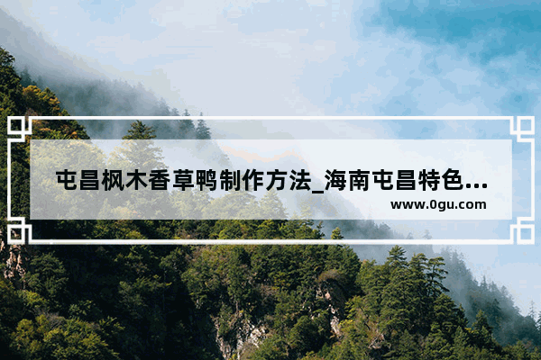 屯昌枫木香草鸭制作方法_海南屯昌特色小吃