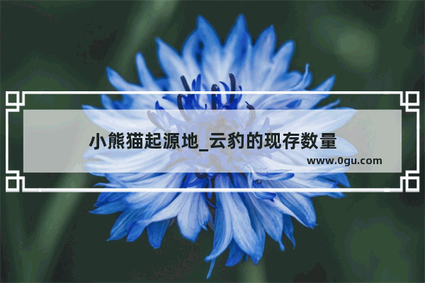 小熊猫起源地_云豹的现存数量