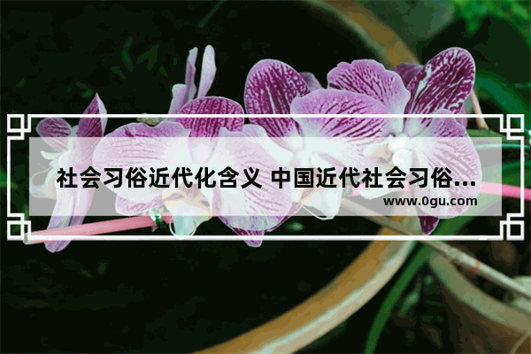社会习俗近代化含义 中国近代社会习俗变化