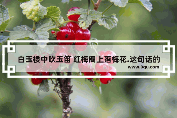 白玉楼中吹玉笛 红梅阁上落梅花.这句话的具体意思,红梅阁历史故事