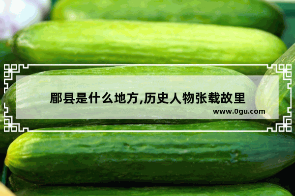 郿县是什么地方,历史人物张载故里