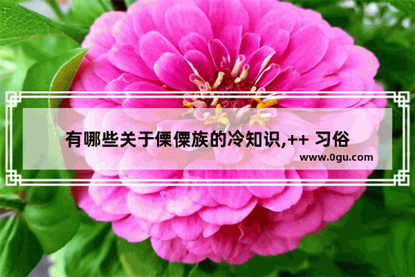 有哪些关于傈僳族的冷知识,++ 习俗