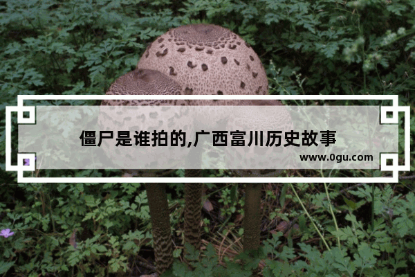 僵尸是谁拍的,广西富川历史故事