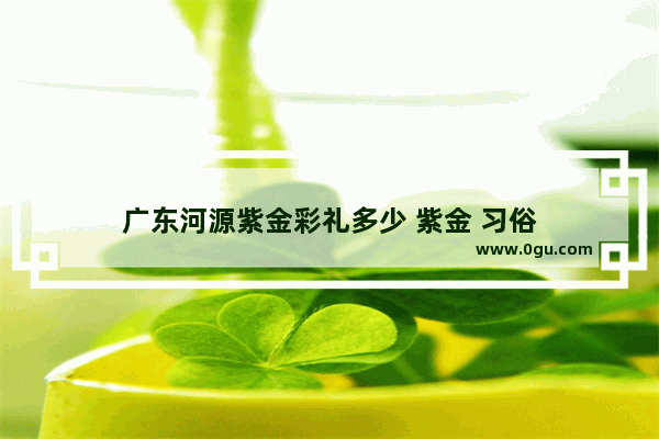 广东河源紫金彩礼多少 紫金 习俗
