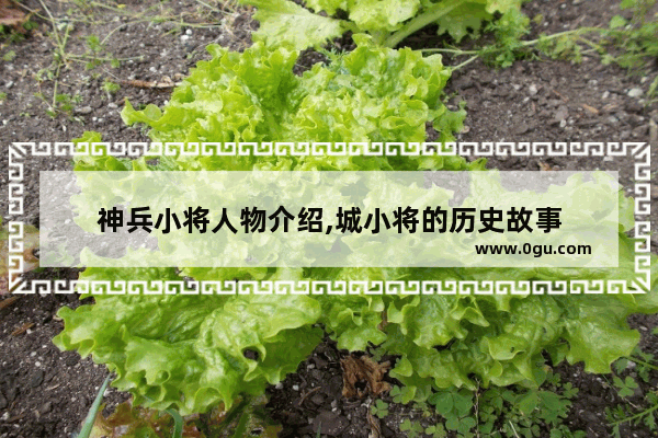 神兵小将人物介绍,城小将的历史故事
