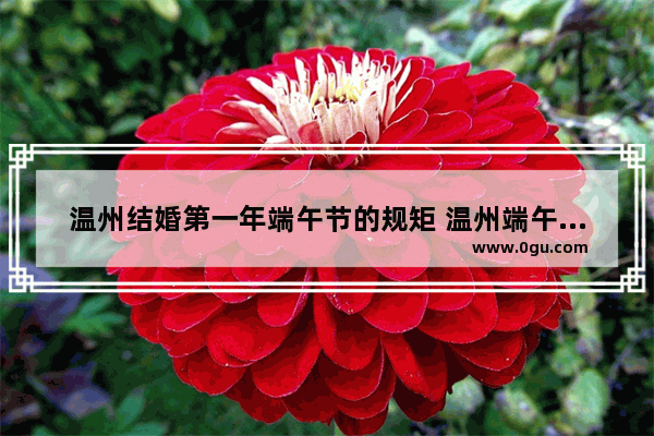 温州结婚第一年端午节的规矩 温州端午节的习俗