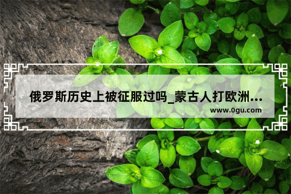 俄罗斯历史上被征服过吗_蒙古人打欧洲的电影