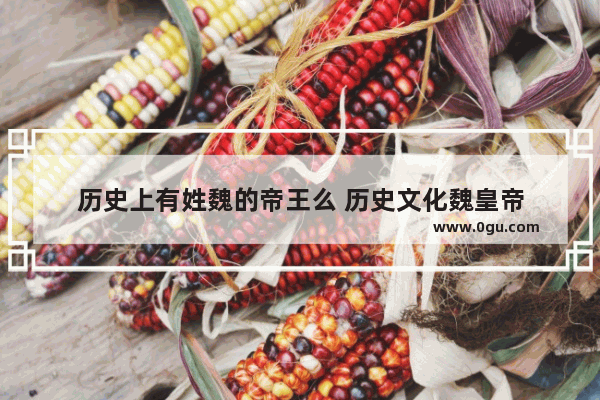历史上有姓魏的帝王么 历史文化魏皇帝
