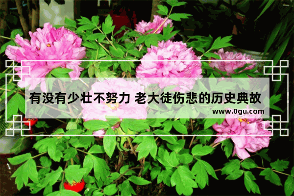 有没有少壮不努力 老大徒伤悲的历史典故 除了伤仲永,躺平的反面历史人物