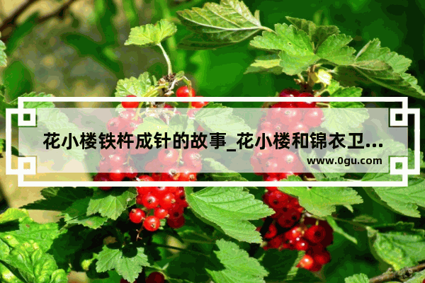 花小楼铁杵成针的故事_花小楼和锦衣卫之间的故事