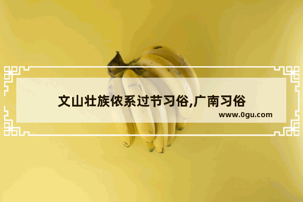 文山壮族侬系过节习俗,广南习俗