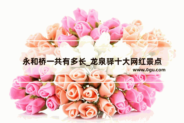 永和桥一共有多长_龙泉驿十大网红景点