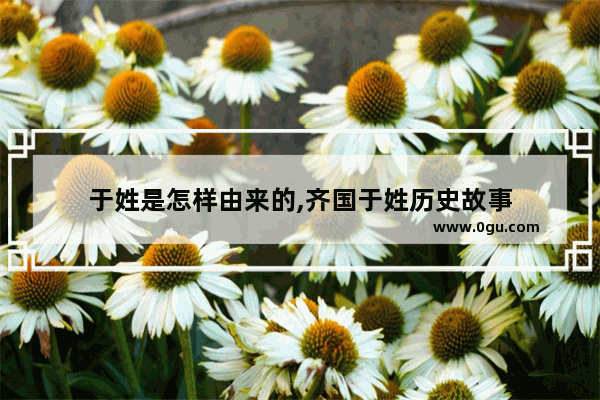 于姓是怎样由来的,齐国于姓历史故事