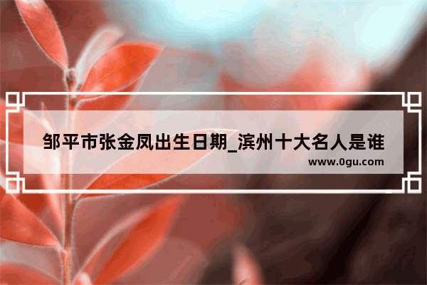 邹平市张金凤出生日期_滨州十大名人是谁