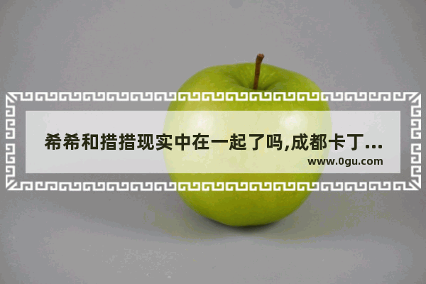 希希和措措现实中在一起了吗,成都卡丁车的历史故事