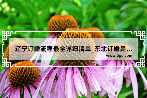 辽宁订婚流程最全详细清单_东北订婚是在男方家还是女方家订