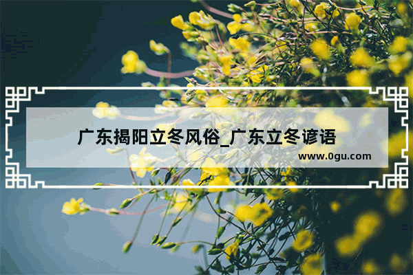 广东揭阳立冬风俗_广东立冬谚语