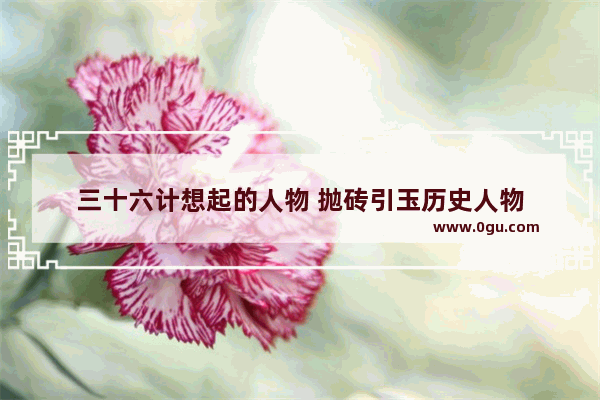 三十六计想起的人物 抛砖引玉历史人物