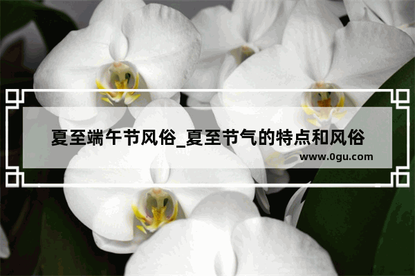 夏至端午节风俗_夏至节气的特点和风俗