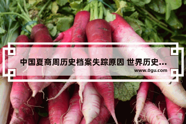 中国夏商周历史档案失踪原因 世界历史中国档案资料