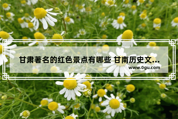 甘肃著名的红色景点有哪些 甘南历史文化浮雕墙