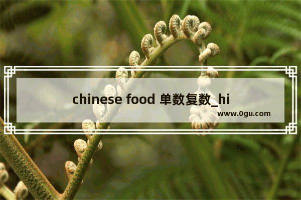 chinese food 单数复数_history和histories区别