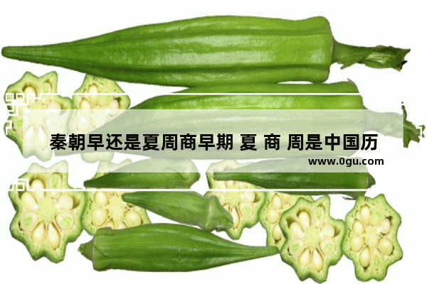 秦朝早还是夏周商早期 夏 商 周是中国历史