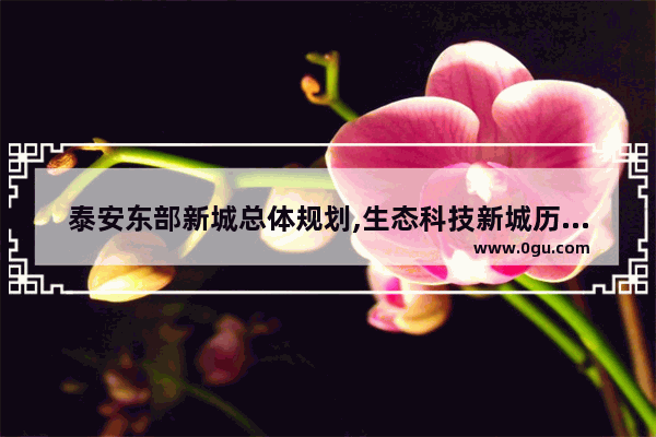 泰安东部新城总体规划,生态科技新城历史人物