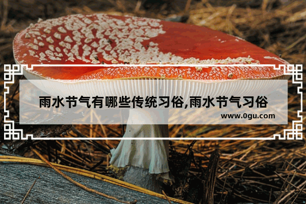 雨水节气有哪些传统习俗,雨水节气习俗