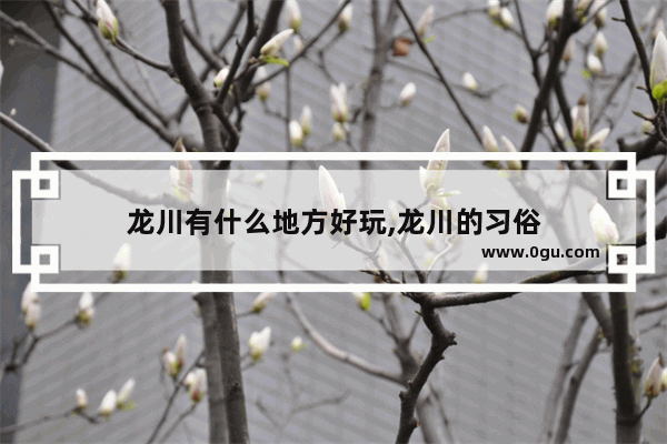 龙川有什么地方好玩,龙川的习俗