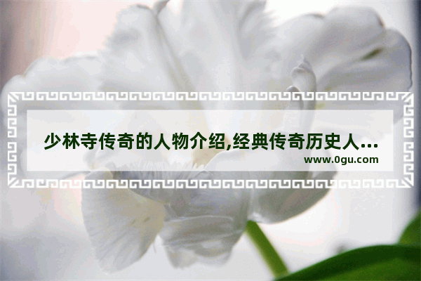 少林寺传奇的人物介绍,经典传奇历史人物篇章