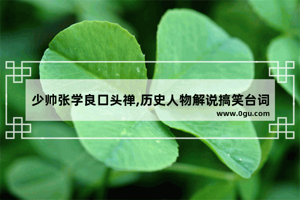少帅张学良口头禅,历史人物解说搞笑台词