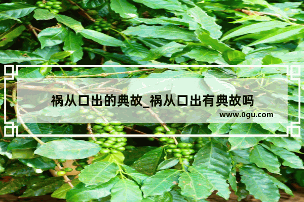 祸从口出的典故_祸从口出有典故吗