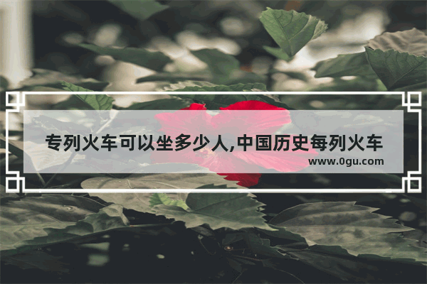 专列火车可以坐多少人,中国历史每列火车