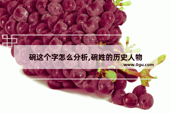碗这个字怎么分析,碗姓的历史人物