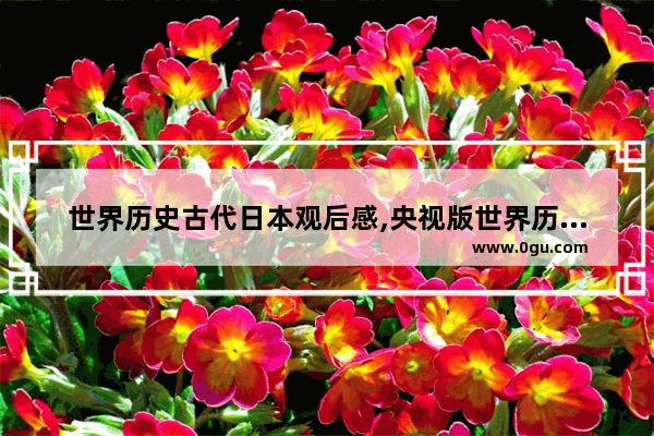 世界历史古代日本观后感,央视版世界历史每集观后感