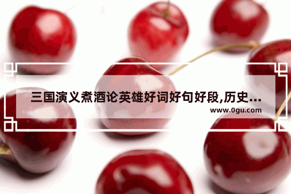 三国演义煮酒论英雄好词好句好段,历史人物纵横论摘抄