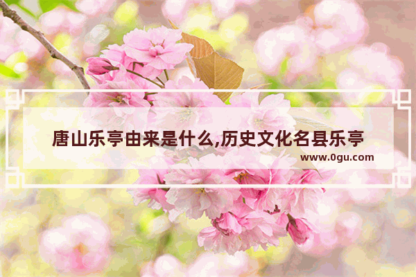 唐山乐亭由来是什么,历史文化名县乐亭