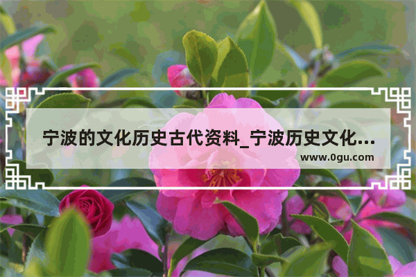 宁波的文化历史古代资料_宁波历史文化概览答案