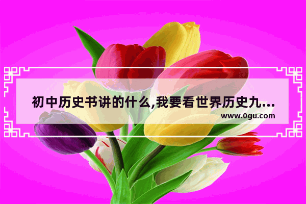 初中历史书讲的什么,我要看世界历史九年级上册