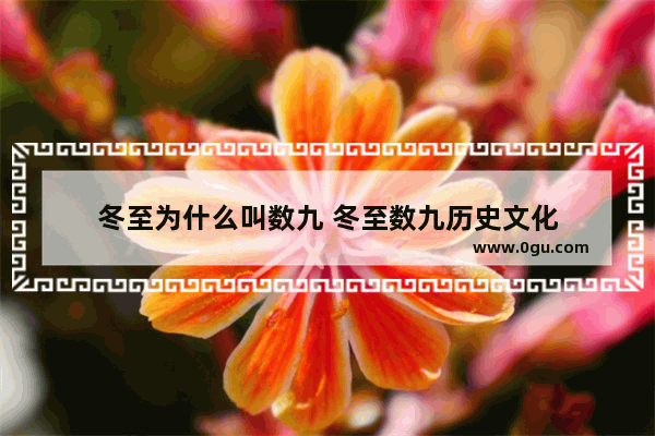 冬至为什么叫数九 冬至数九历史文化